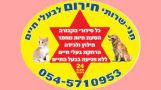 דרושים בחני שירותי חירום לבעלי חיים